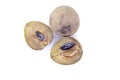 Sapota fruit cut into pieces and seeds in white background Royalty Free Stock Photo