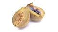 Sapota fruit cut into pieces and seeds in white background Royalty Free Stock Photo
