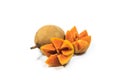 Sapota fruit Royalty Free Stock Photo