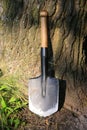 sapper shovel near tree trunk Royalty Free Stock Photo