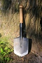 sapper shovel near tree trunk