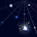 Sapphire Spider and web on black background with glimpses