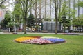 the sapporo odori park at spring Royalty Free Stock Photo