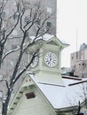 Snowy clock tower