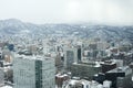 Sapporo in Winter Royalty Free Stock Photo