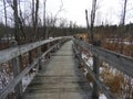 Sapsucker Woods trail through swamp at Ornithology Lab at Cornell in winter