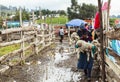 Saquisili market, one of Ecuador's most vibrant