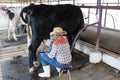 Man hand milking a cow by hand, cow standing in the corral on dairy farm Asia Thailand
