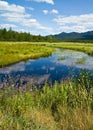 Saranac River Royalty Free Stock Photo