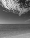 Sarasota Beach and Broken Clouds Monochrome