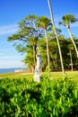 The landscape of Ringling museum at Sarasota in Florida Royalty Free Stock Photo