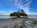 Sarasota Florida bayfront during the daytime Royalty Free Stock Photo