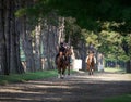 Saratoga Serenity -Horse Haven
