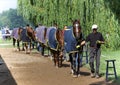 Saratoga Serenity -Horse Haven -Stables