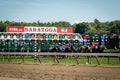 Saratoga Springs Horse Racing Royalty Free Stock Photo