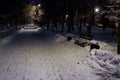 Saratov, Astrakhan street/ Russia - Night life on winter Saratov park.