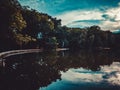 Sky above the trees in the forest Royalty Free Stock Photo