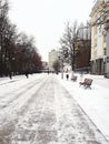 People walk along a city street on a winter day. Vertical photography, mobile photo