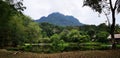 Sarawak mountain with nature forest, green trees and calm lake