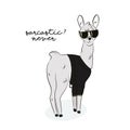 Sarcastic llama illustration. Modern alpaca in sunglesses, bomber with funny text drawing. Scandinavian style childish print