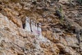 Sarcophagi of Karajia Royalty Free Stock Photo