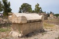 A sarcophagus. Al-Bass Tyre necropolis. Roman remains in Tyre. Tyre is an ancient Phoenician city. Tyre, Lebanon Royalty Free Stock Photo