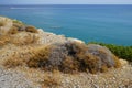 Sarcopoterium spinosum grows in Septembe. Rhodes Island, Greece Royalty Free Stock Photo