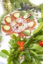 Sardine fillets with Mediterranean herbs Royalty Free Stock Photo