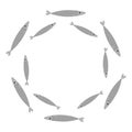 Sardine gray fish set. Iwashi. Sardina pilchardus school.