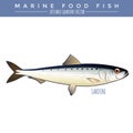 Sardine. Marine Food Fish