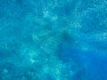 Sardine shoal carousel in open sea water. Massive fish school underwater photo. Pelagic fish school swimming