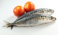 Sardines Royalty Free Stock Photo