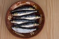 Sardines Royalty Free Stock Photo