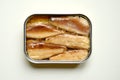 Sardines can on a white background Royalty Free Stock Photo