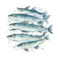 Sardines in Cartoon style in watercolor style in cartoon style. Cute Little Cartoon Sardines in Cartoon style in watercolor