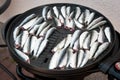 Sardines on grill. Electric grill. BBQ season. Summer grilling.