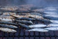 Sardines on grill on street bbq. hot tipical portugal food