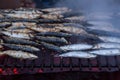 Sardines on grill on street bbq. hot tipical portugal food