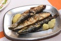 Sardines grilled in Aveiro, Royalty Free Stock Photo
