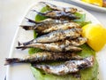 Sardines grilled lemon