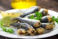 Sardines