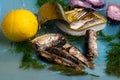 Sardines, lemon, tin and dill