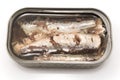 Sardines in oil Canned Royalty Free Stock Photo