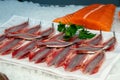 Sardines and salmon fillet for sale