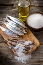 Sardines with salt Royalty Free Stock Photo