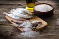 Sardines with salt Royalty Free Stock Photo