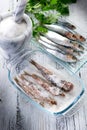 Sardines with salt Royalty Free Stock Photo