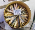 Sardines spread in a circle