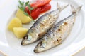 Sardinhas assadas, charcoal grilled sardines