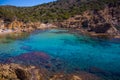 Sardinia beatifull bay crystal water with rock and tree